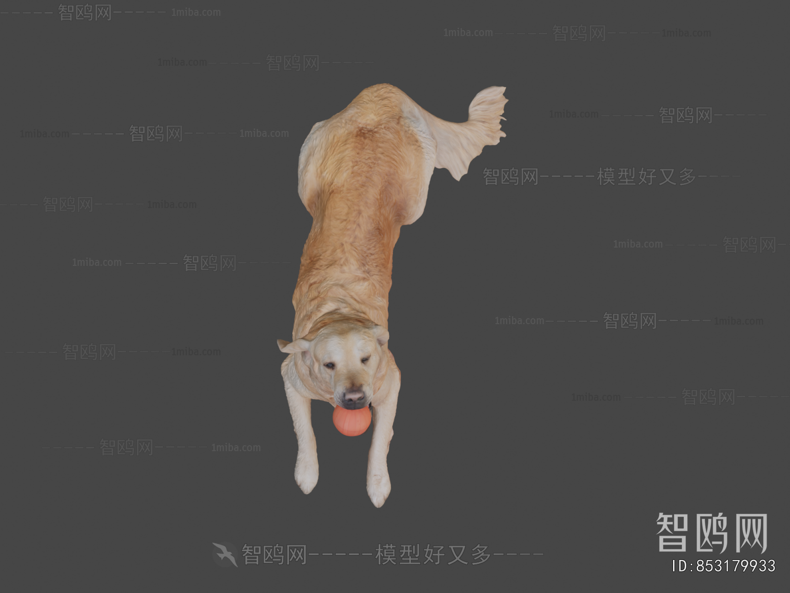 Modern Animal Dog