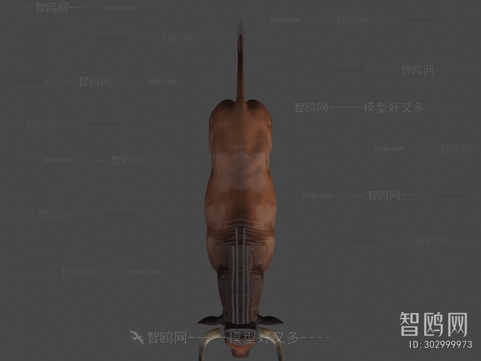 Modern Mammal