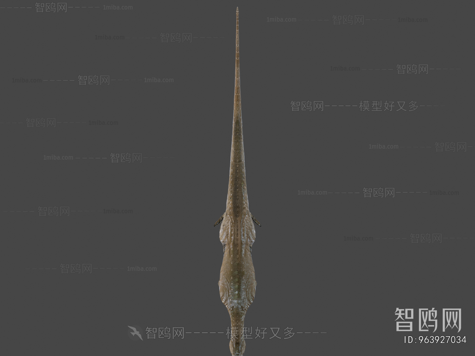 Modern Mammal