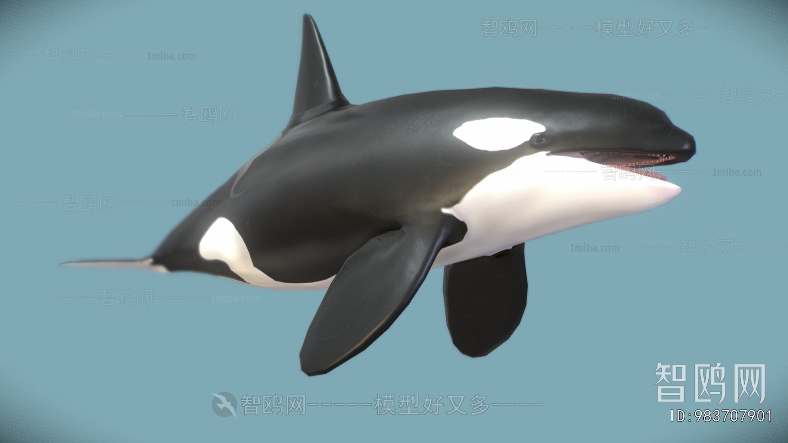 Modern Aquatic Animals