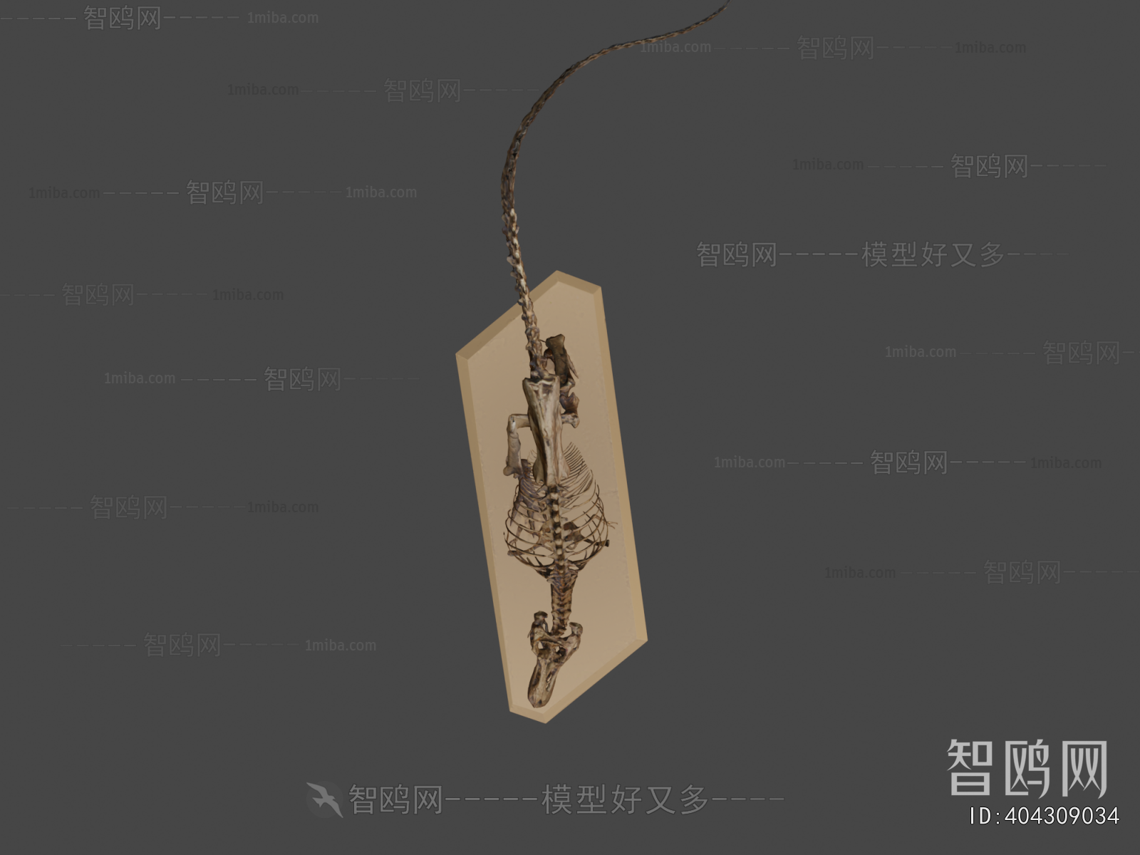 Modern Medical Equipment