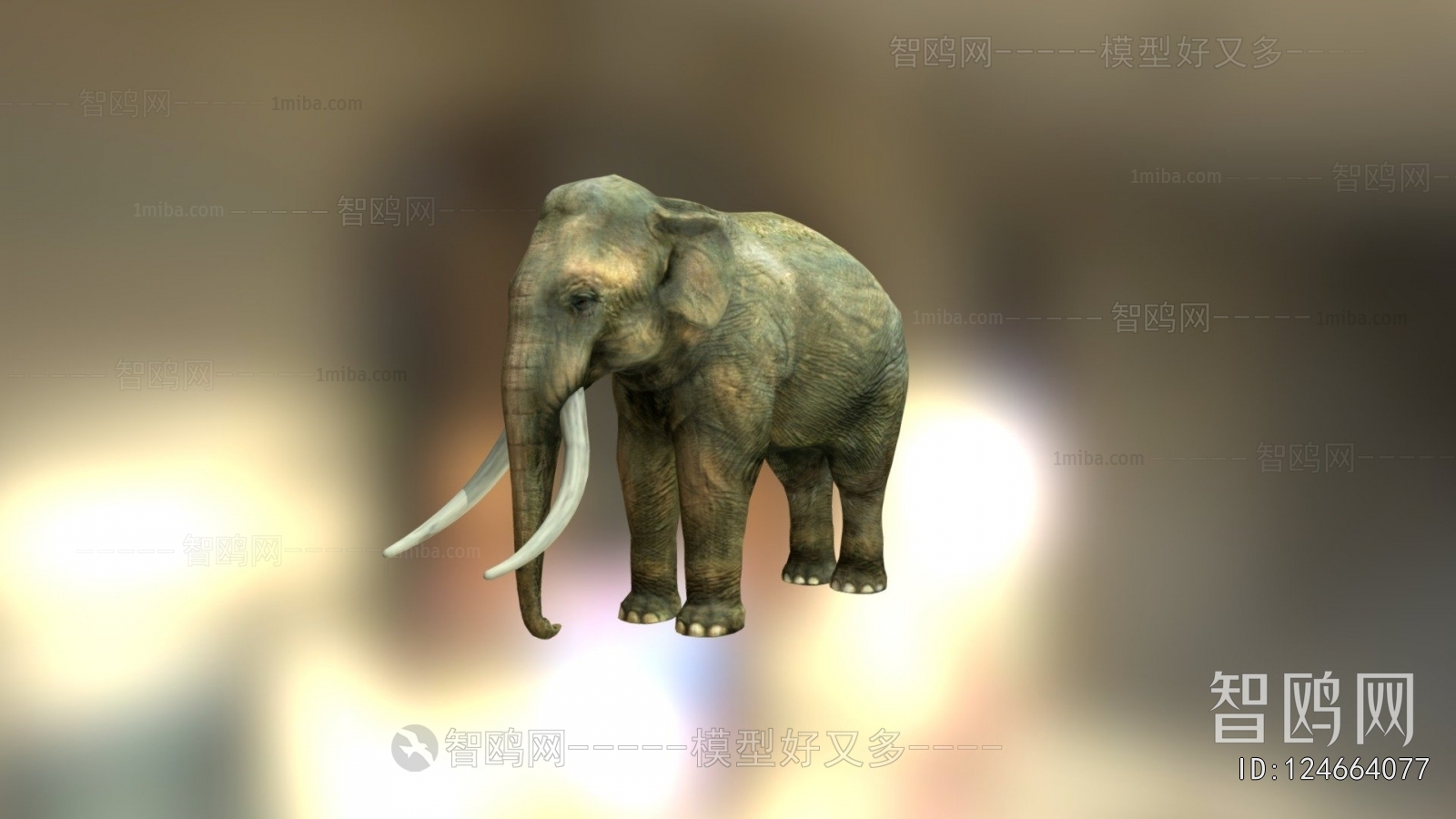 Modern Animal