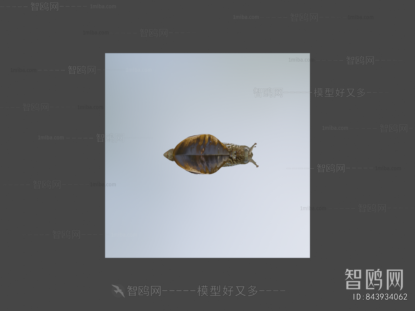 Modern Reptile