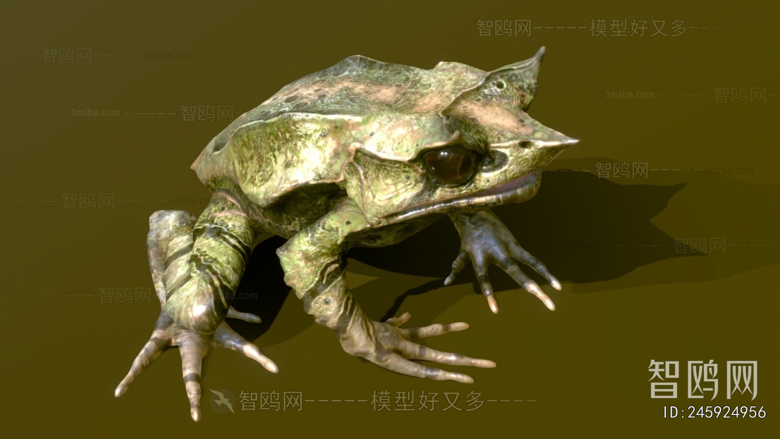 Modern Animal