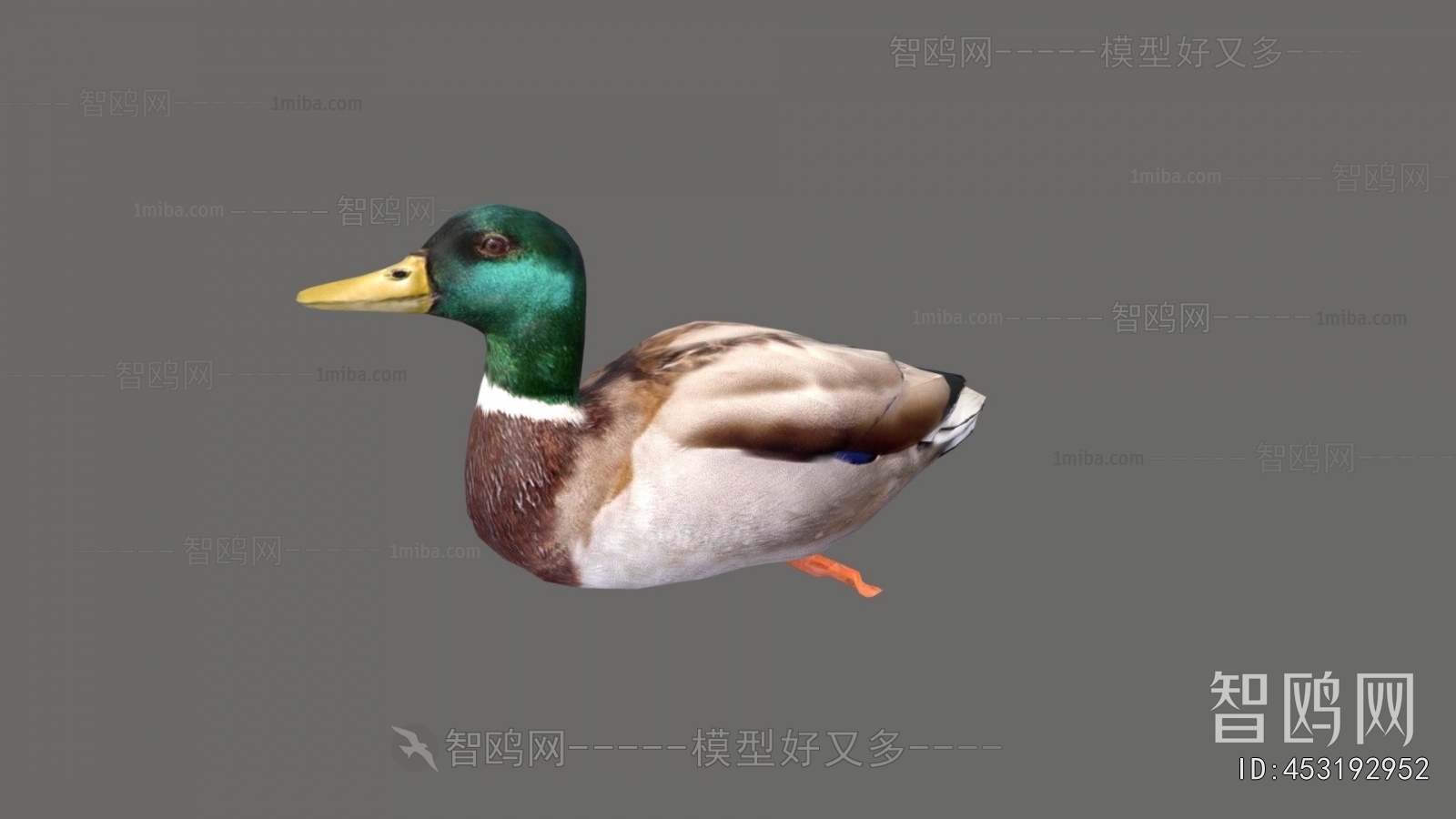 Modern Poultry Animal