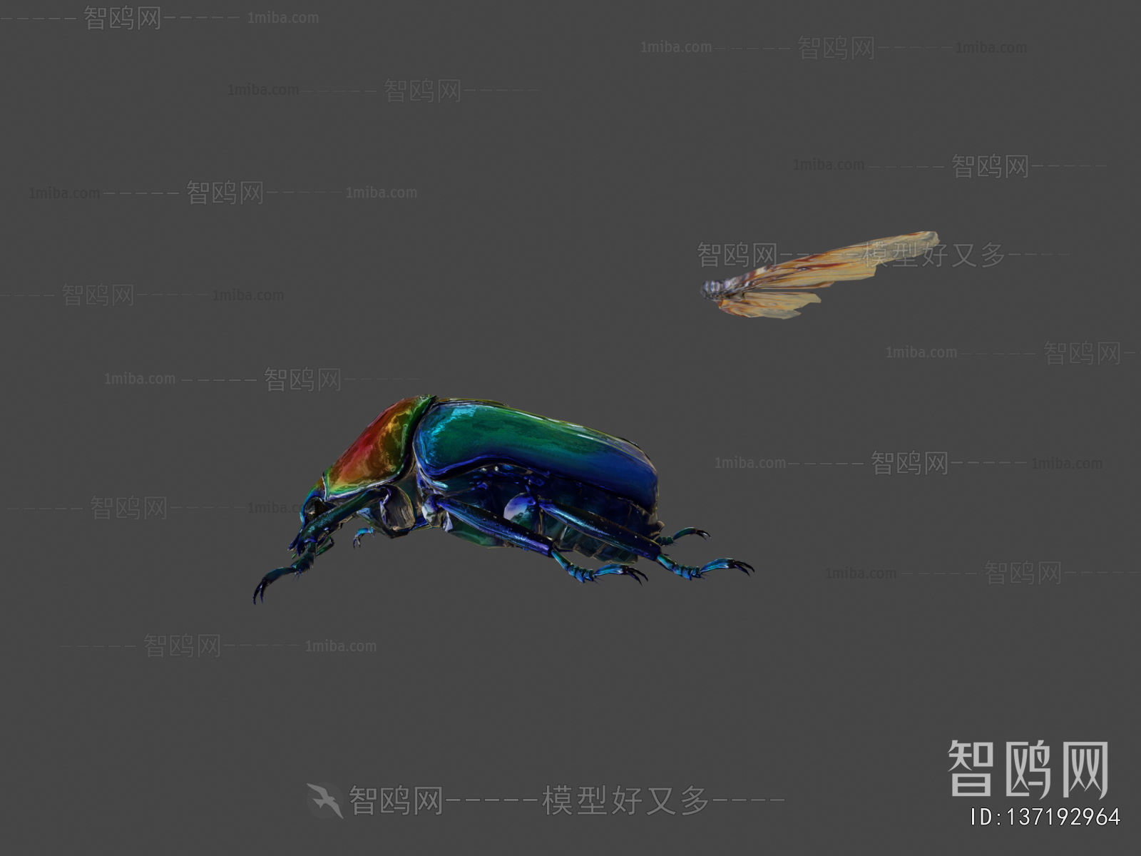 Modern Animal