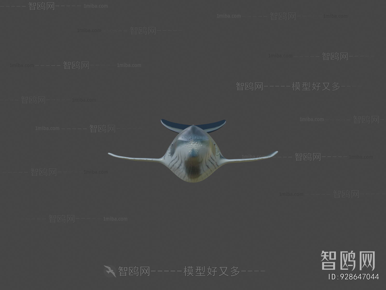 Modern Aquatic Animals