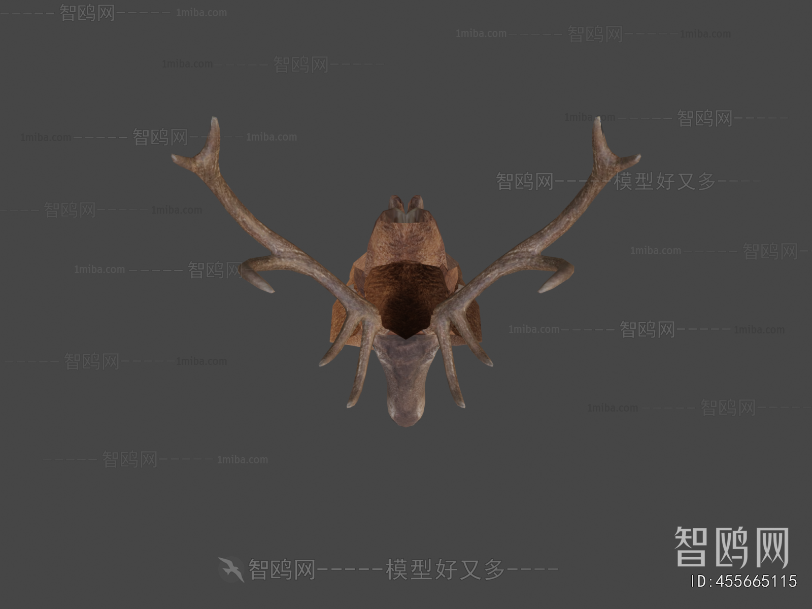Modern Mammal