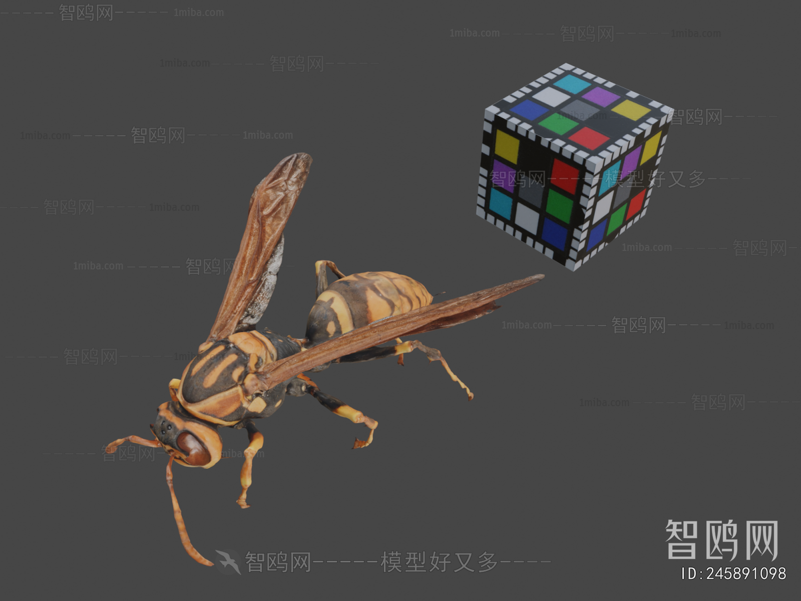 Modern Animal