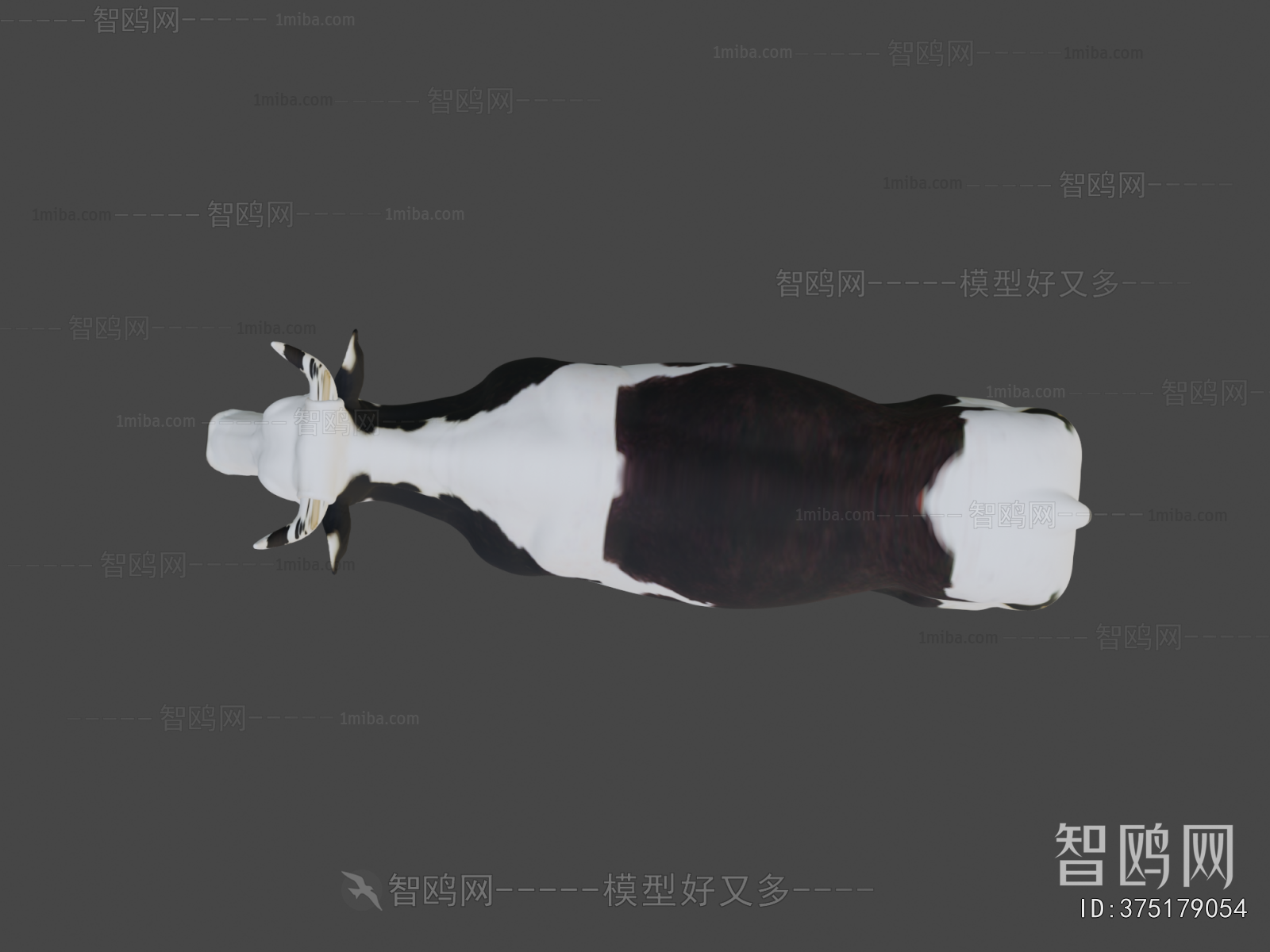 Modern Animal