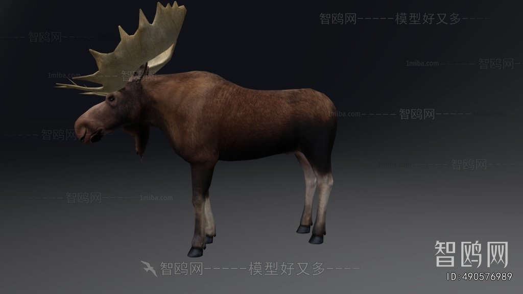 Modern Mammal