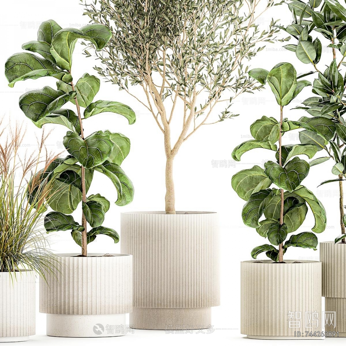 Modern Ground Green Plant Potted Plants