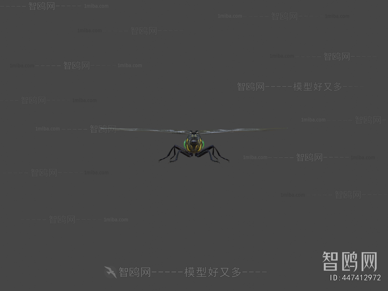 Modern Flying Animals