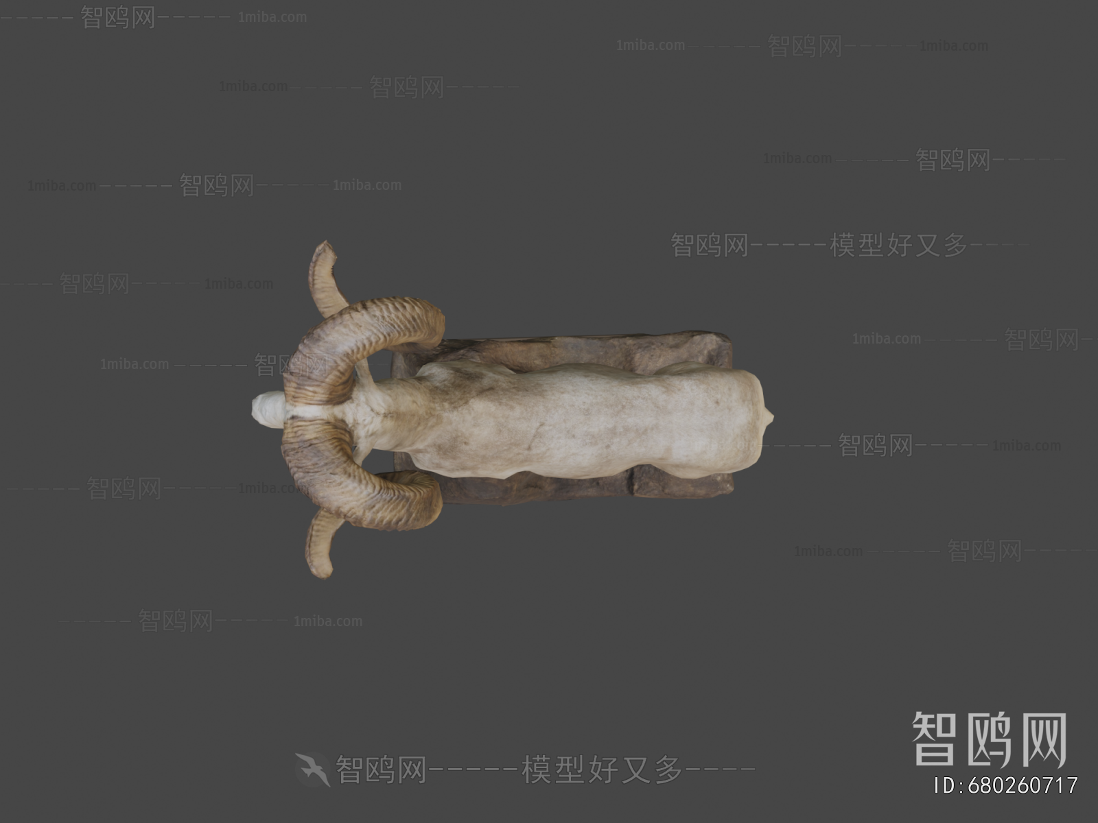 Modern Animal