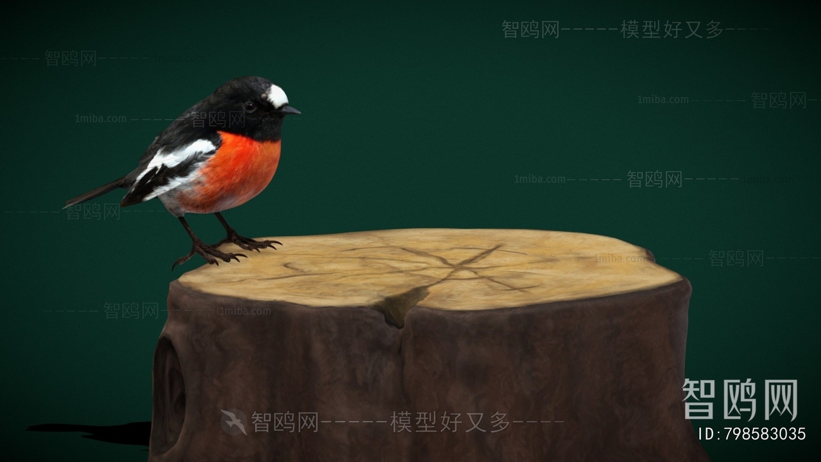 Modern Flying Animals