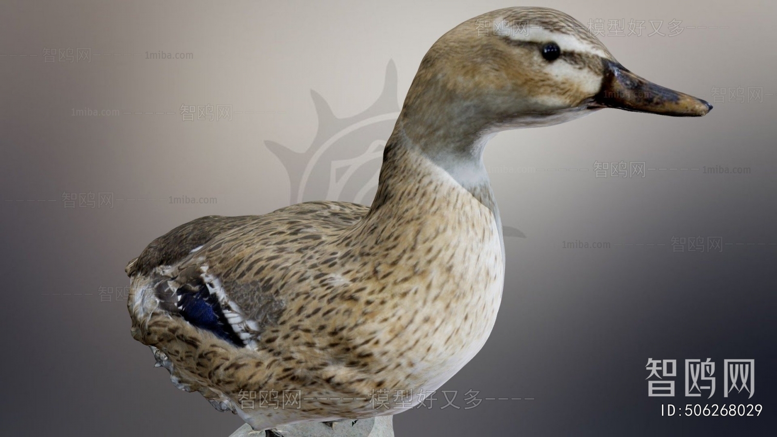 Modern Animal