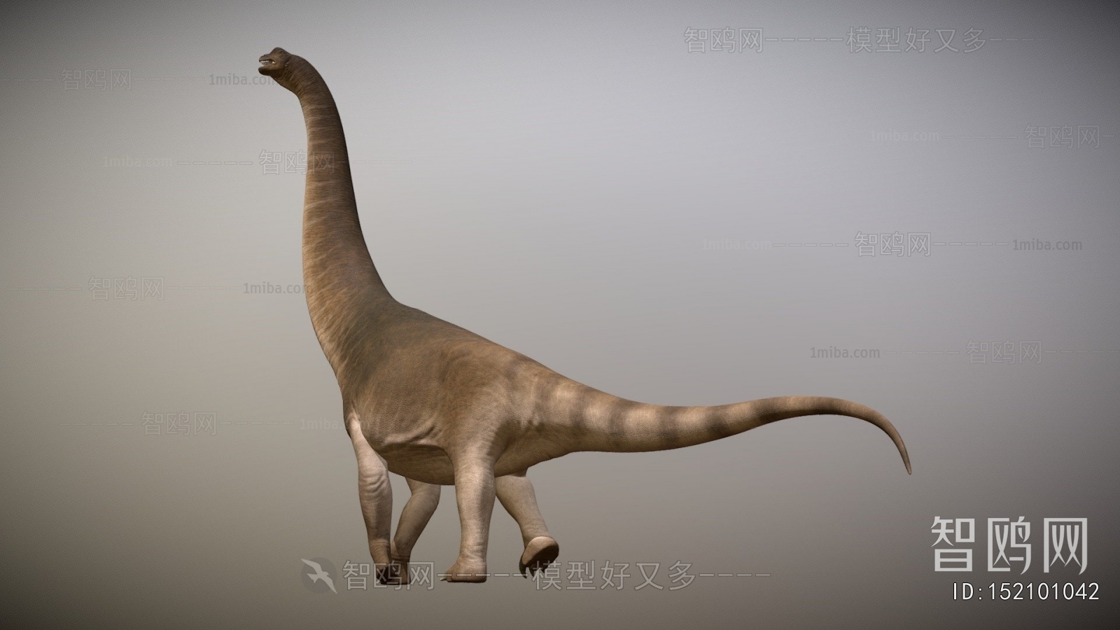 Modern Animal