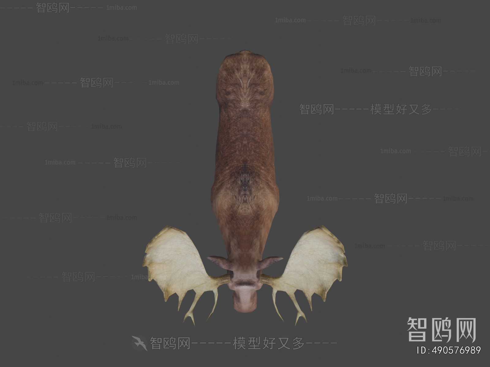 Modern Mammal
