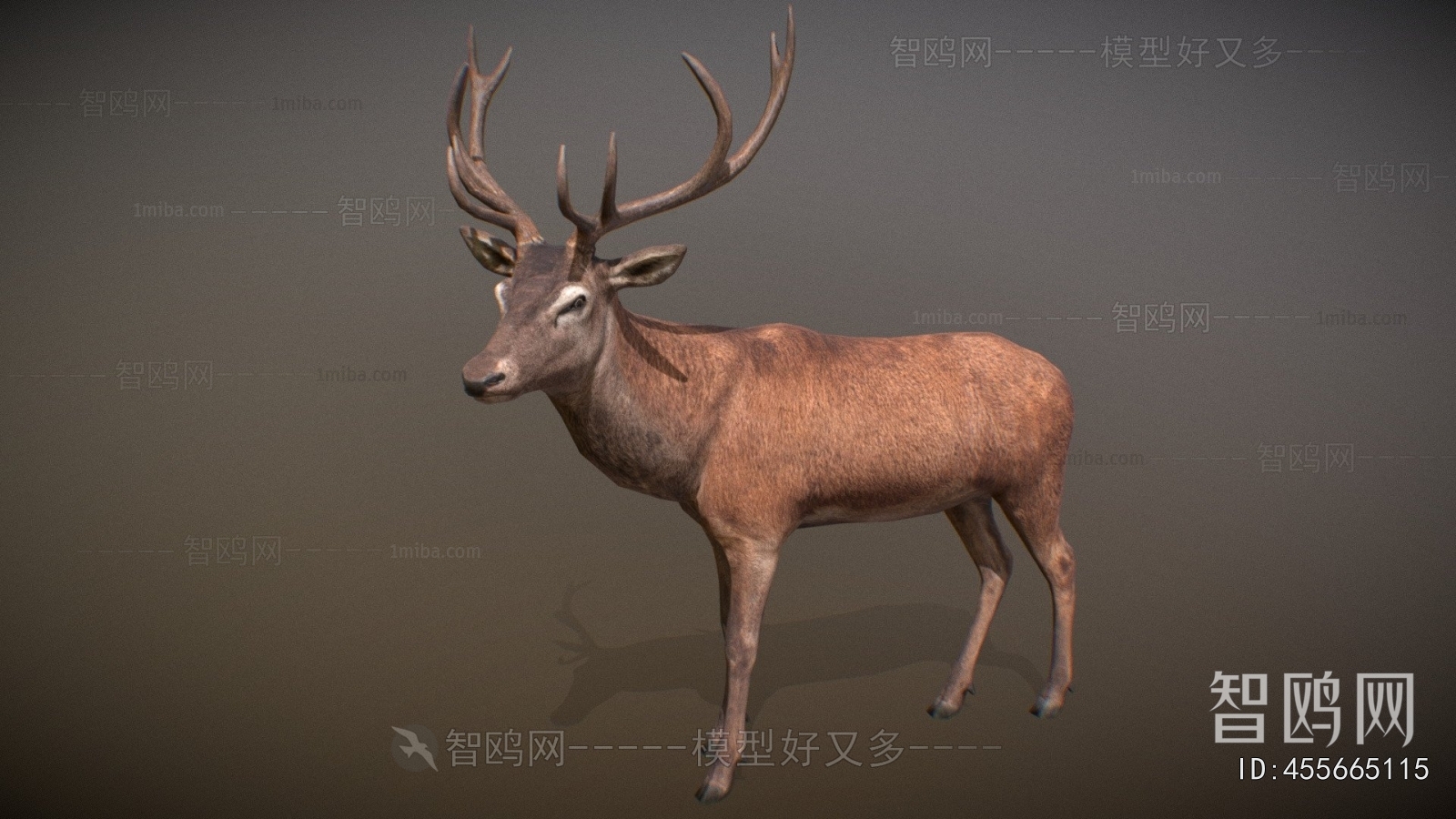 Modern Mammal