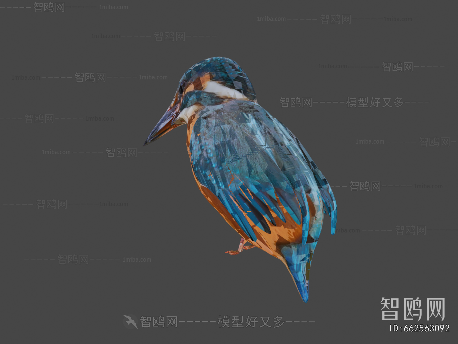 Modern Flying Animals