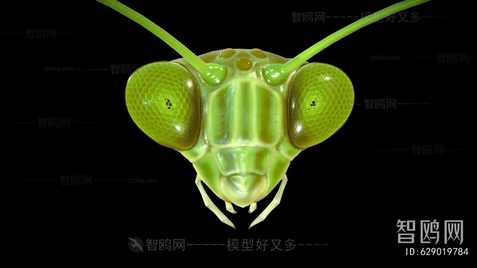 Modern Animal