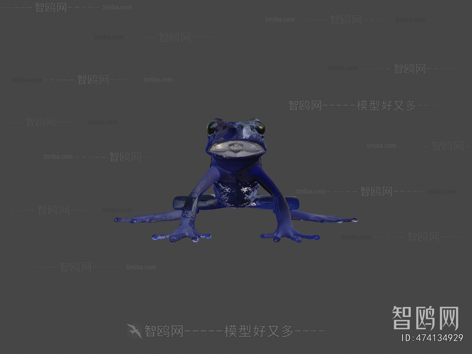 Modern Reptile