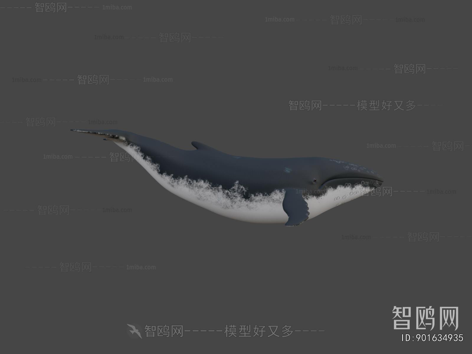 Modern Animal
