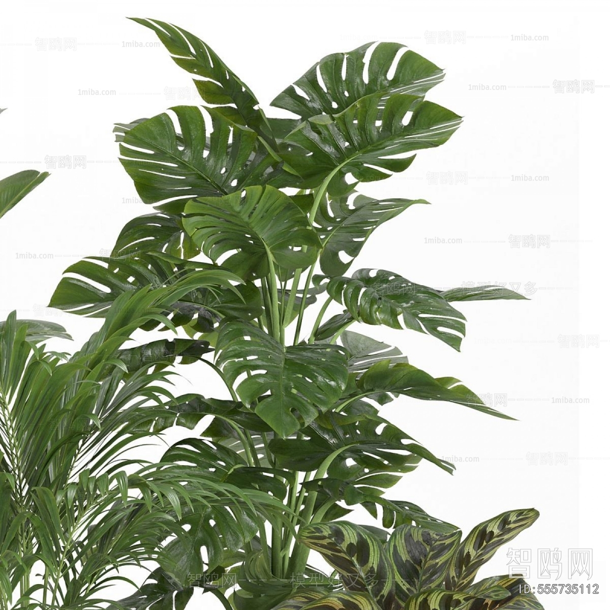 Modern Ground Green Plant Potted Plants
