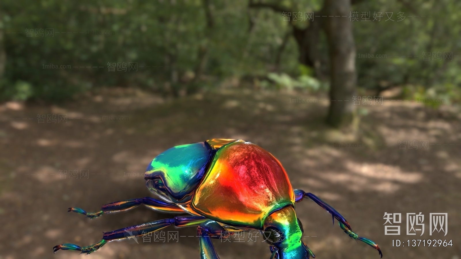 Modern Animal