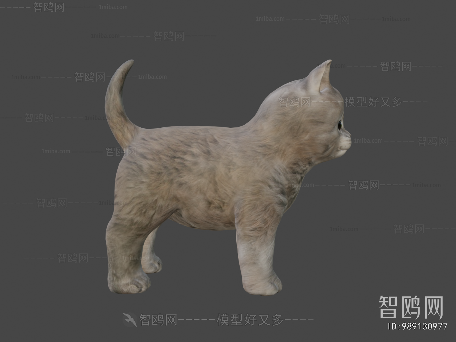 Modern Animal Cat