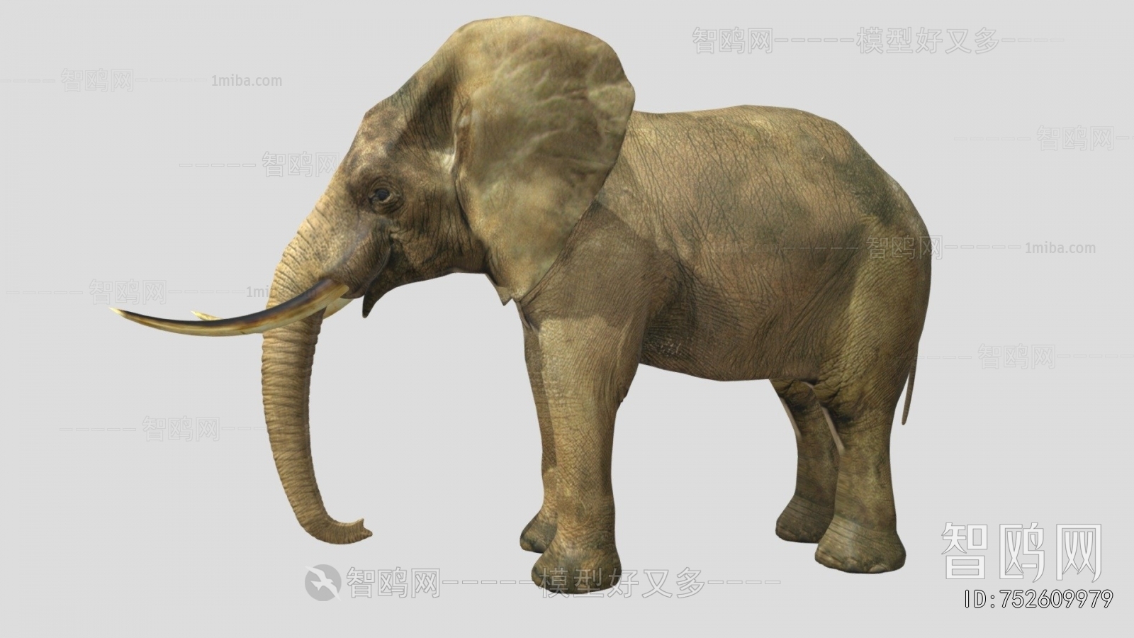 Modern Mammal