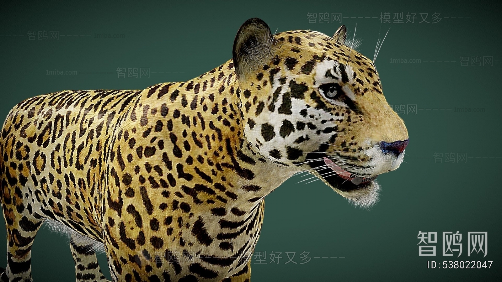 Modern Animal