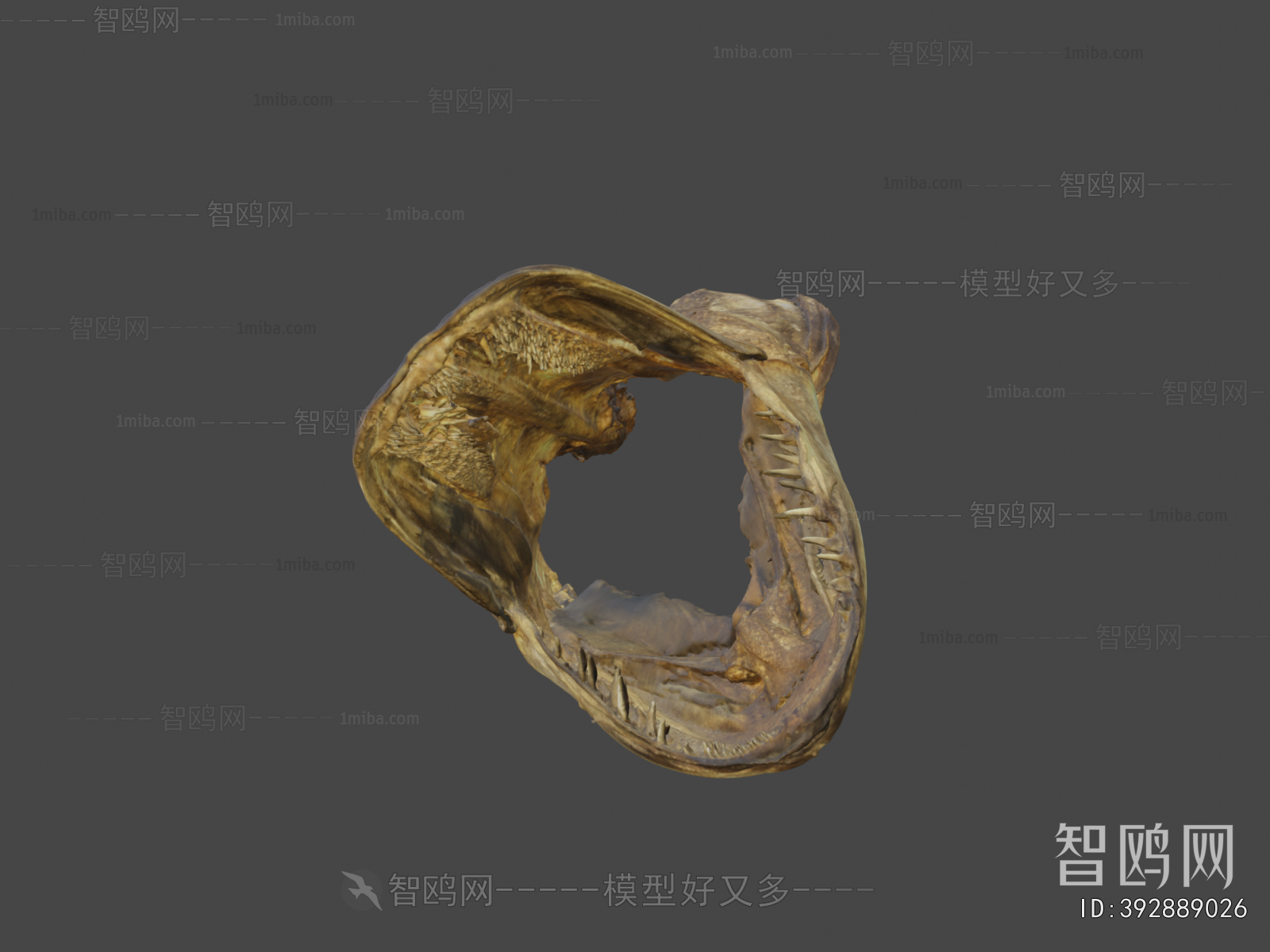 Modern Medical Equipment