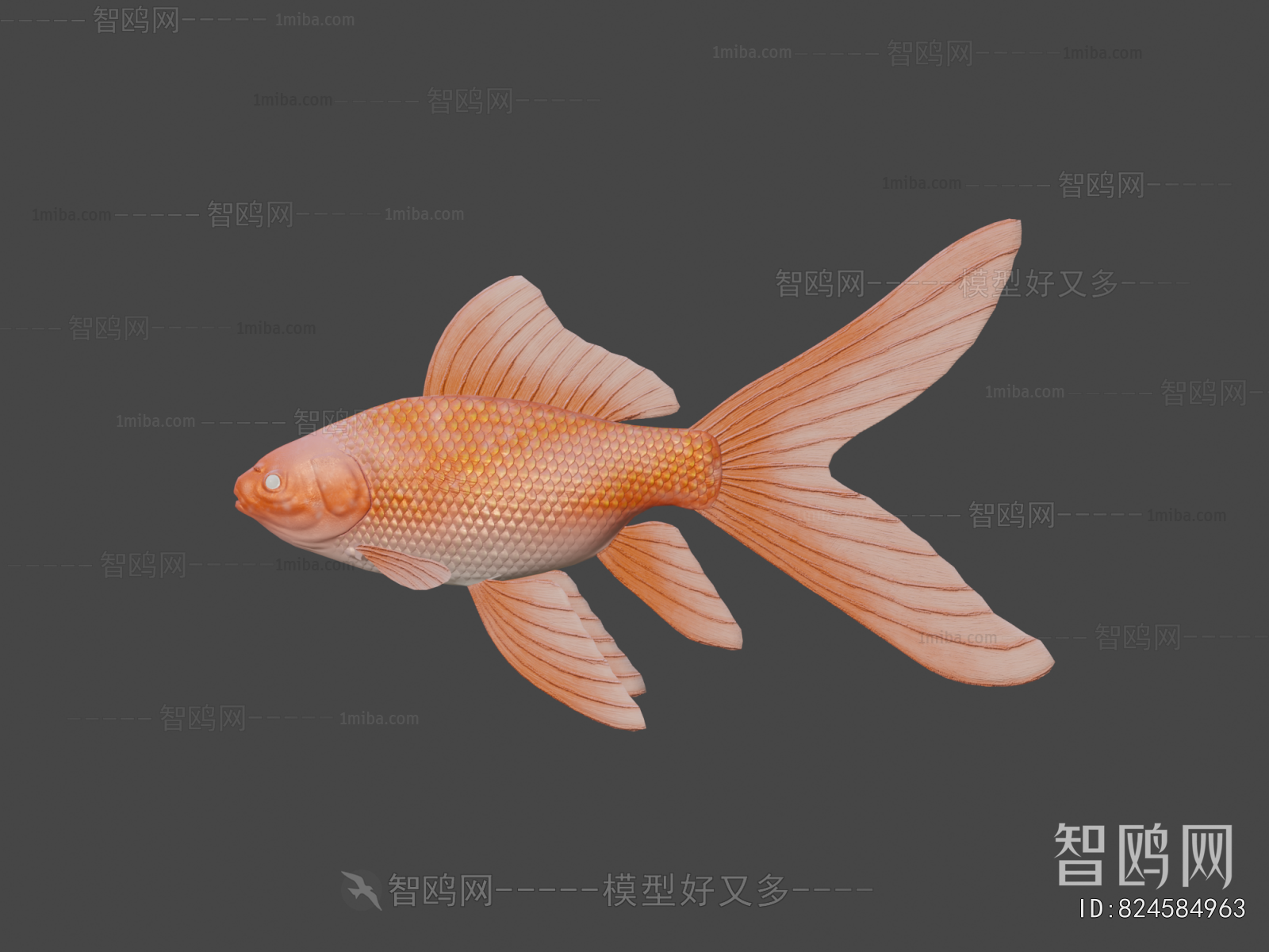 Modern Aquatic Animals