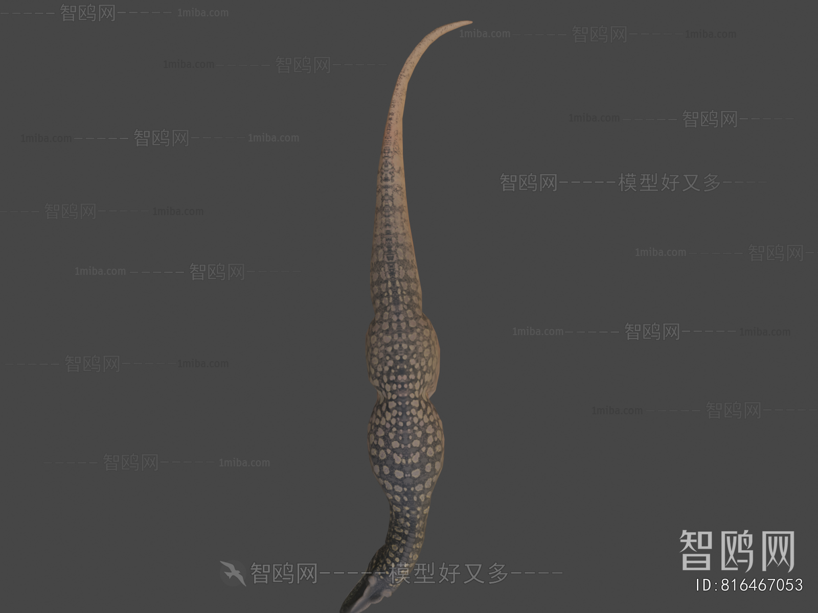 Modern Animal