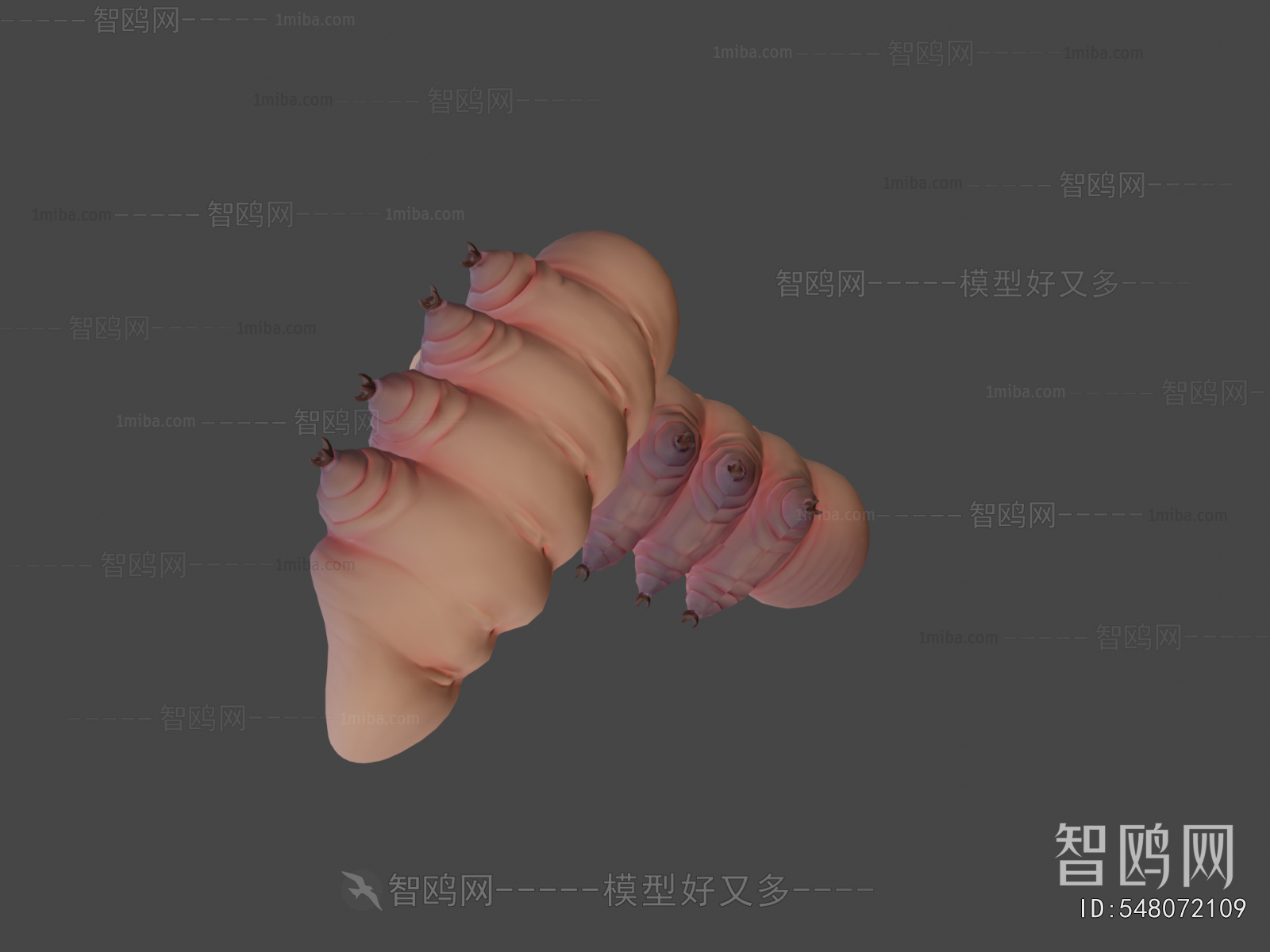 Modern Animal