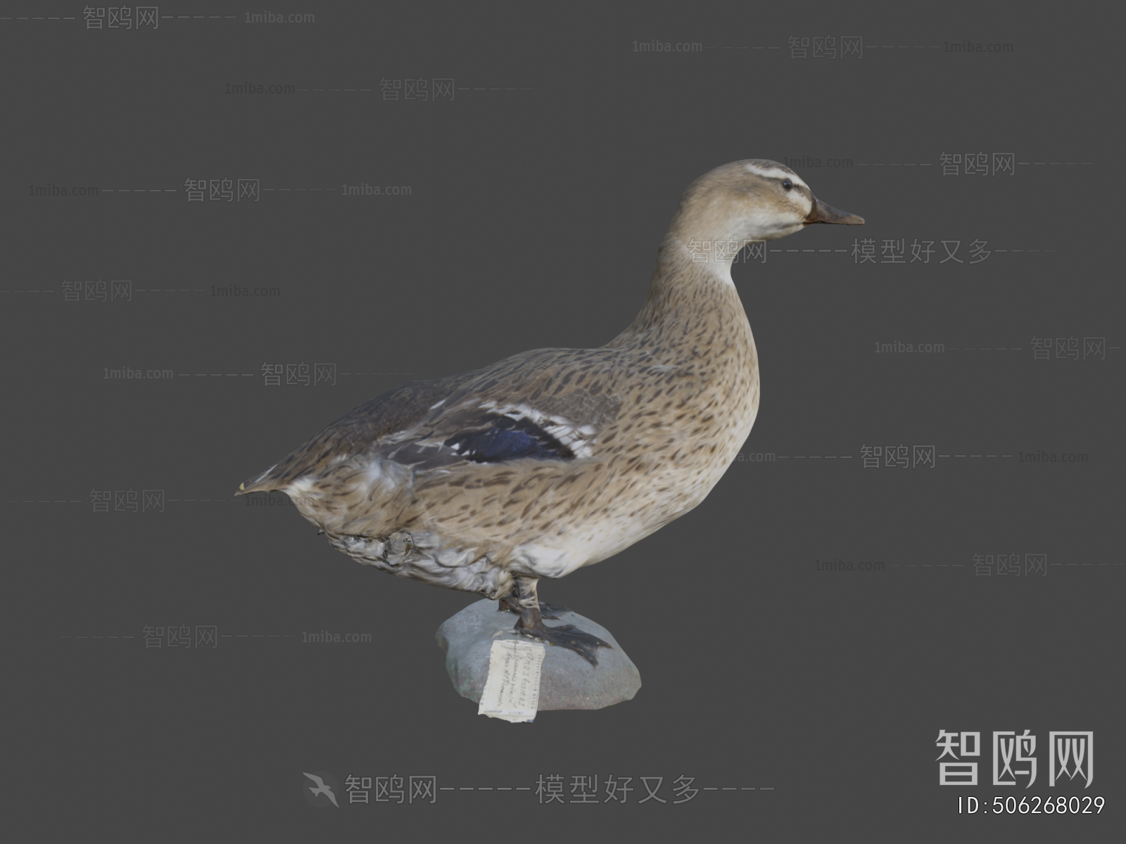 Modern Animal