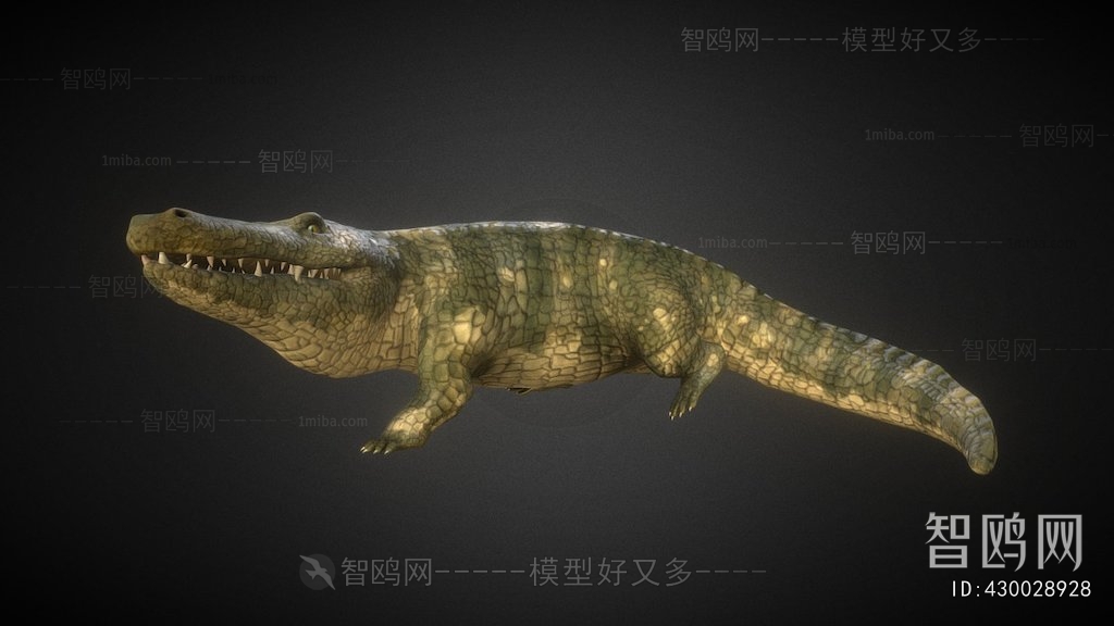 Modern Reptile