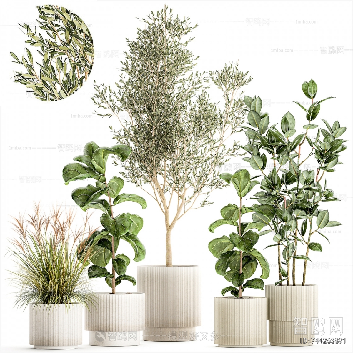 Modern Ground Green Plant Potted Plants