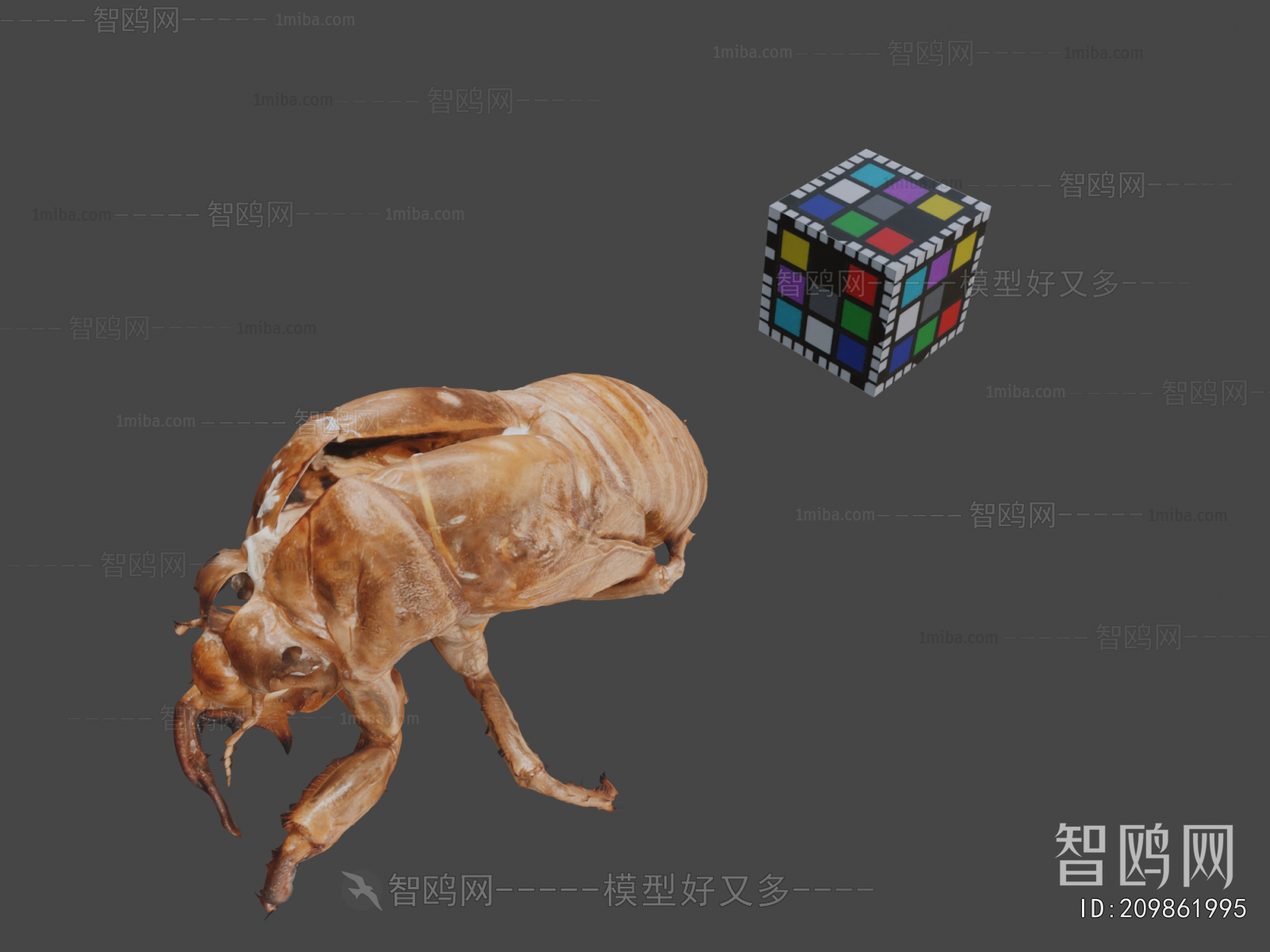 Modern Animal