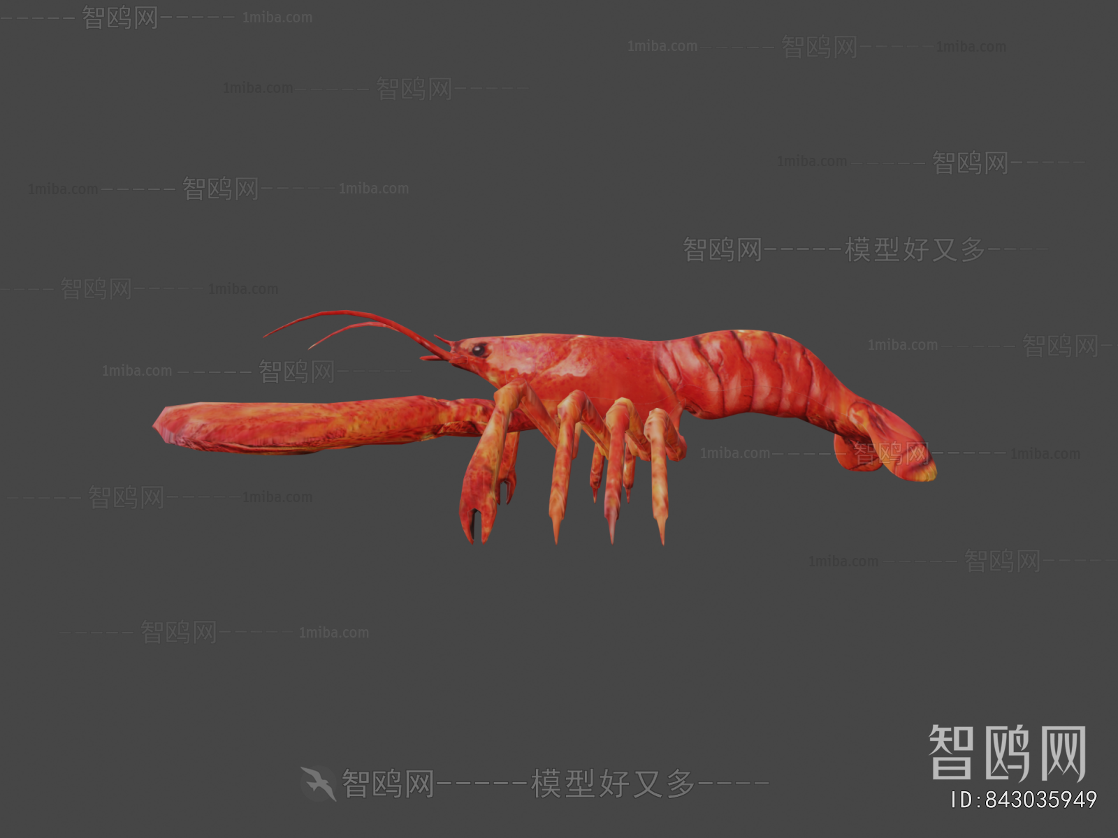 Modern Animal