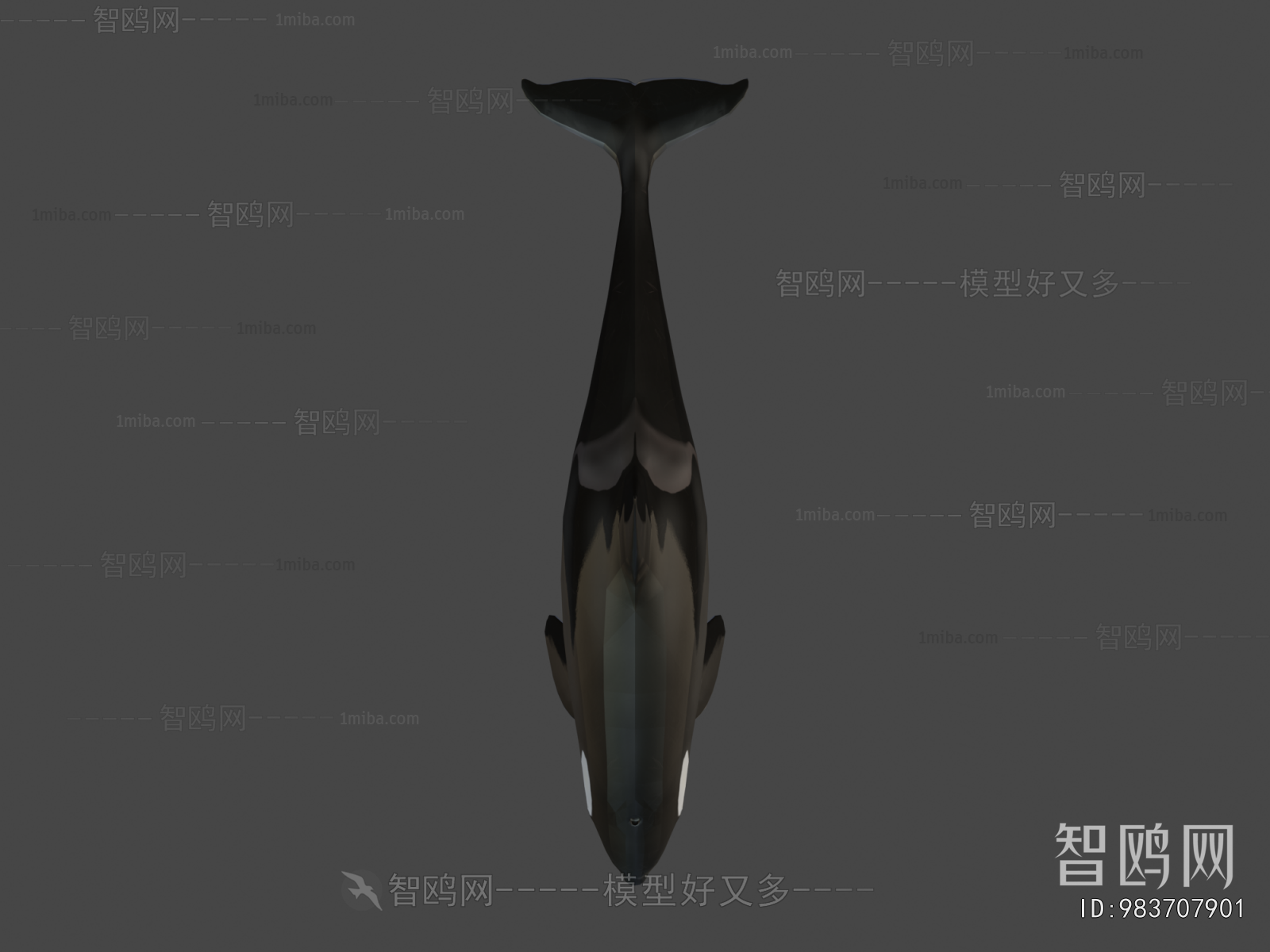 Modern Aquatic Animals