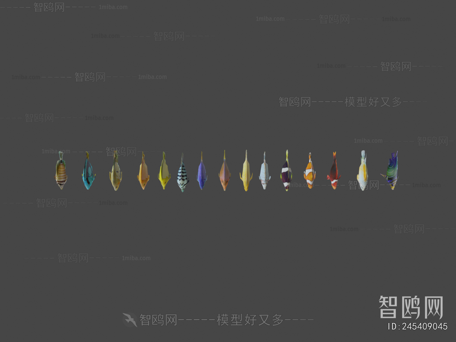 Modern Aquatic Animals