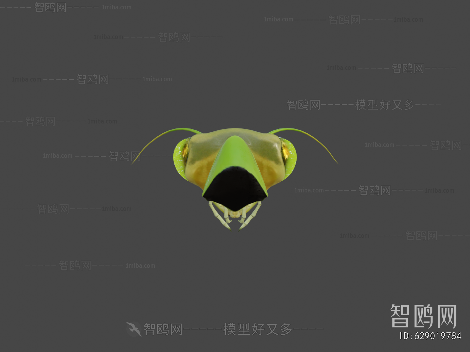 Modern Animal