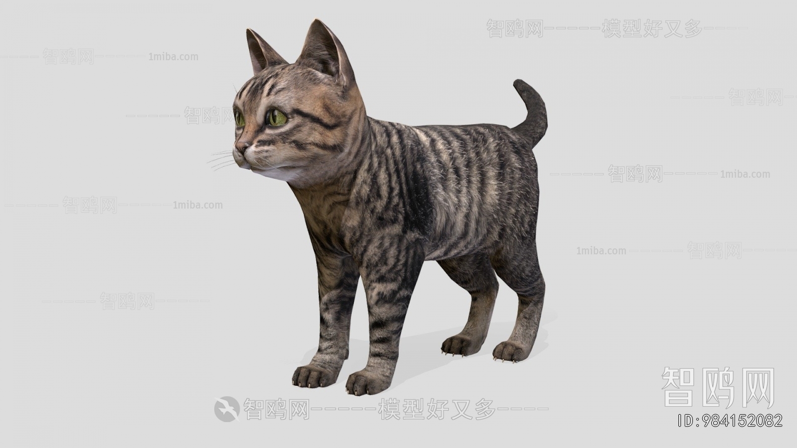 Modern Animal Cat