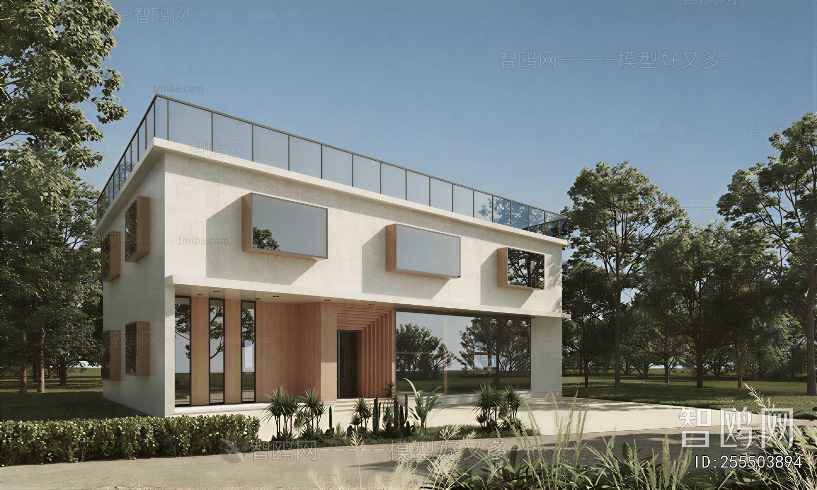 Modern Villa Appearance