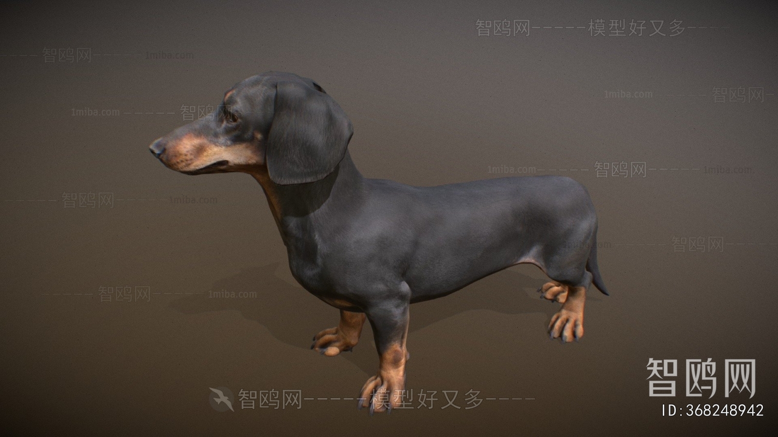 Modern Animal Dog