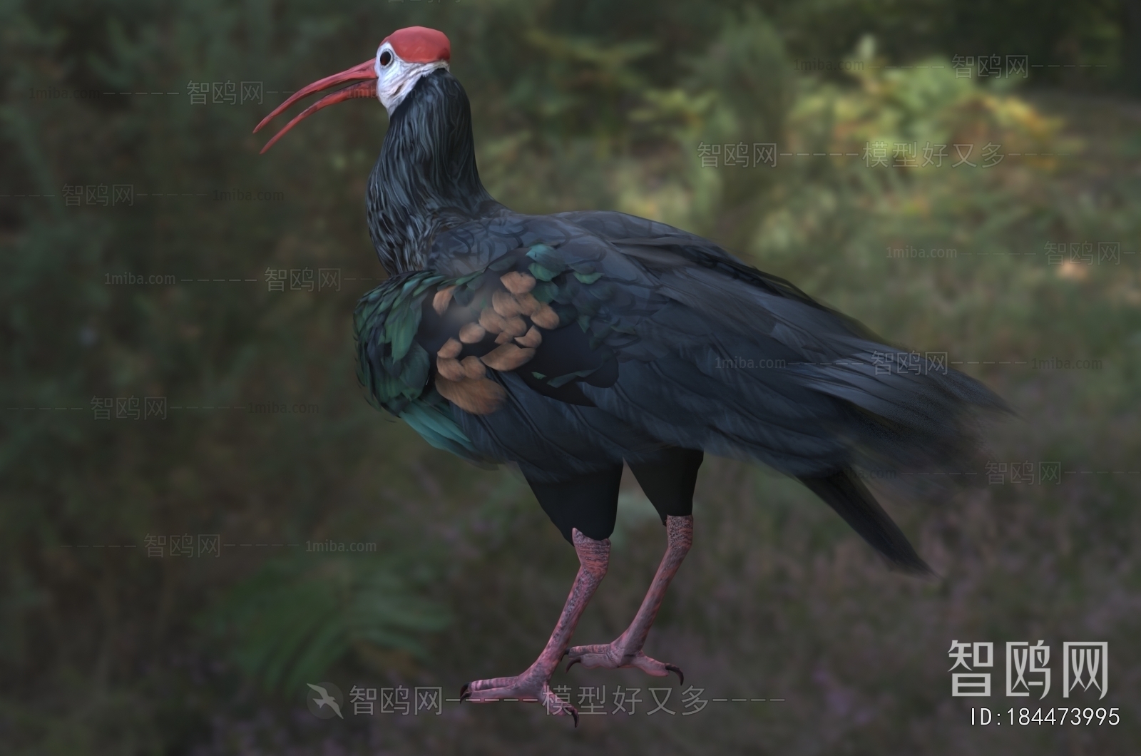 Modern Flying Animals