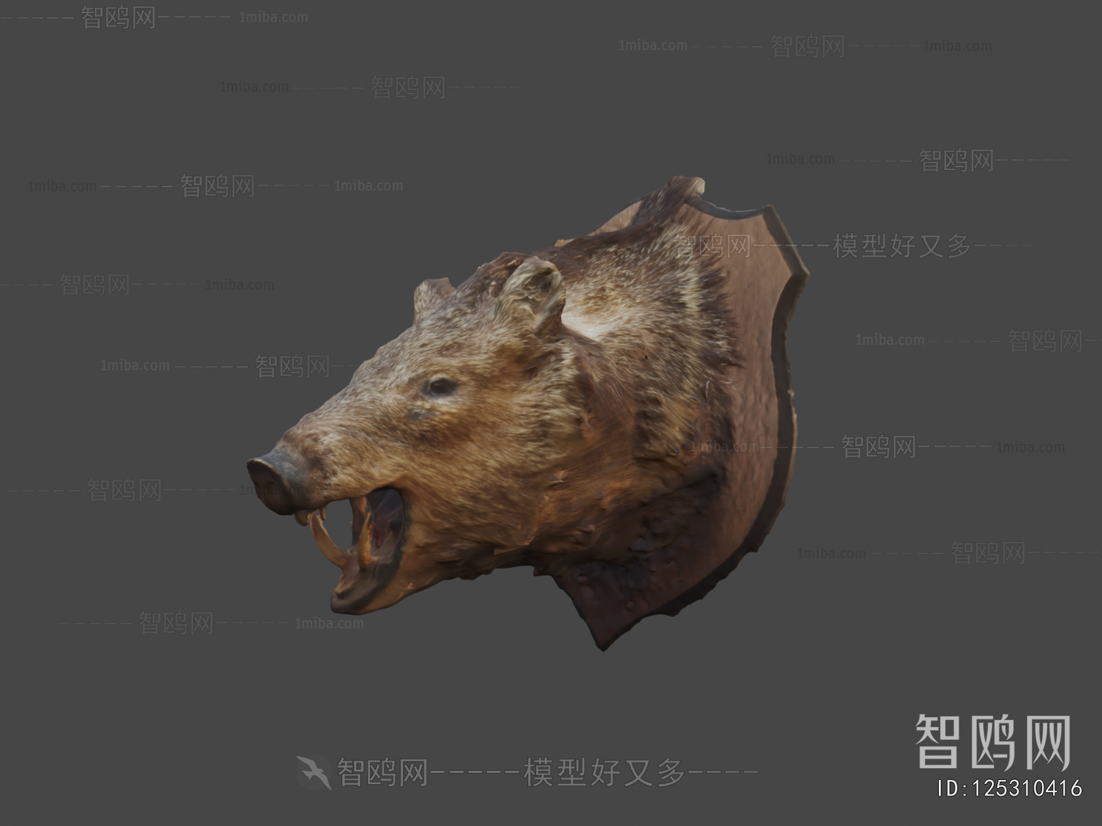Modern Mammal