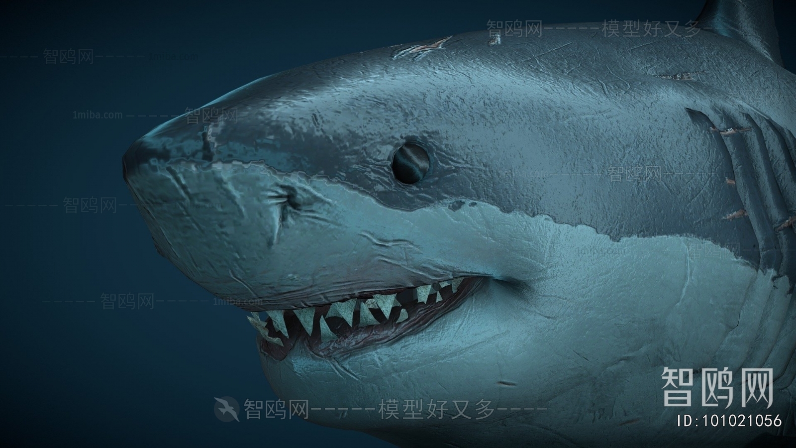 Modern Aquatic Animals